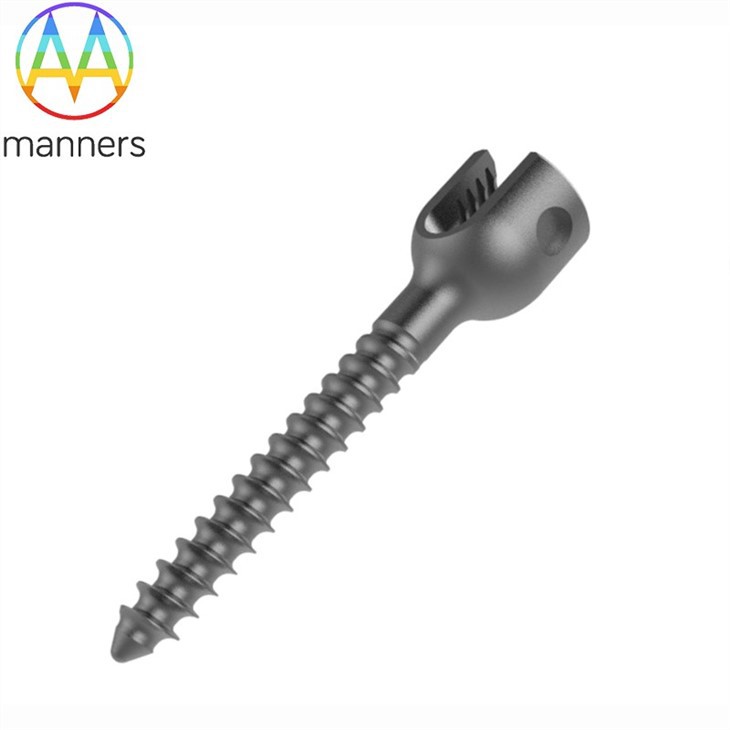 Spinal Internal Fixation Titanium Screw