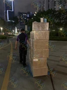 The Vietnam Customers Order For 11,000pcs Custom H2O2 Transfer Needles Have B...
