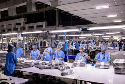 International Certification And Quality Systems: Why ISO 13485 Serves As The ...