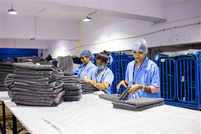 Crossing Disciplinary Boundaries – Evolution Of Shaver Blade Applications Fro...
